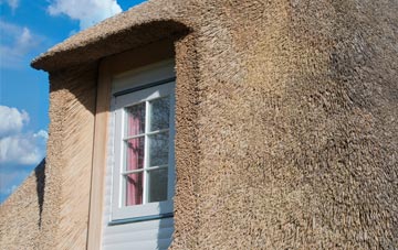 Shelve thatch roof disadvantages